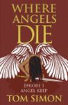 Angels Die cover